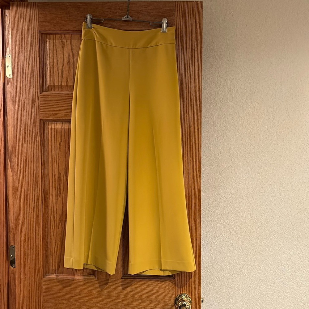 Express Dress Pants